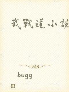 武战道小说
