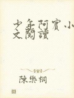 少年阿宾小说全文阅读