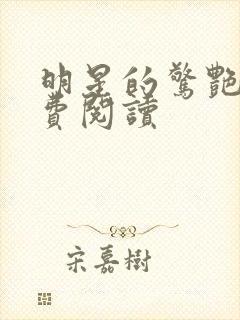 明星的惊艳史免费阅读