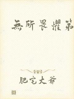 无所畏惧第二部