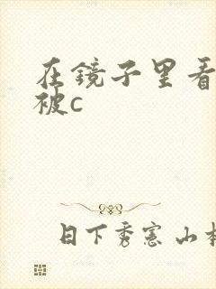 在镜子里看自己被c