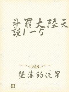 斗罗大陆天狂传说1一5