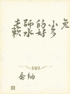 老师的小兔子好软水好多