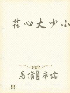 花心大少小说