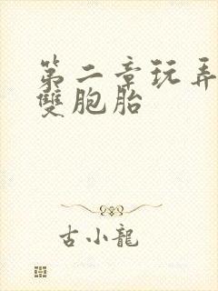 第二章玩弄校花双胞胎