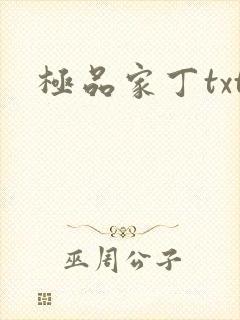 极品家丁txt