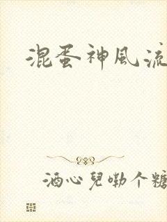 混蛋神风流