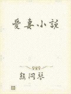 爱妻小说
