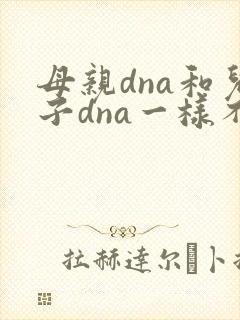母亲dna和儿子dna一样不