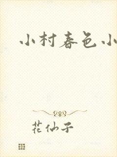 小村春色小说