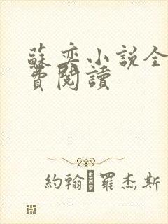 苏奕小说全文免费阅读