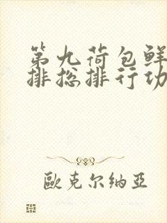 第九荷包鲜辣肉排总排行功能介绍