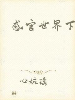 感官世界下载