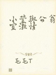 小莹与公翁办公室激情