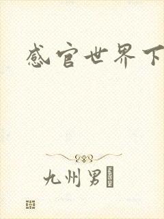 感官世界下载