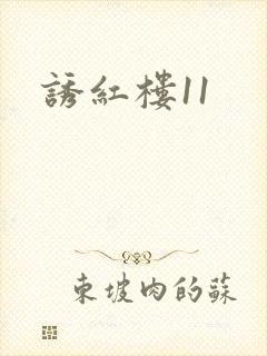 诱红楼11