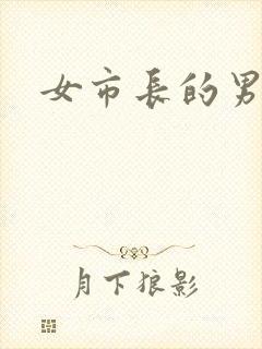 女市长的男秘书