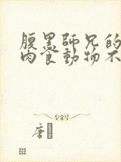 腹黑师兄的日常肉食动物不食草