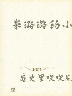 米璐璐的小说