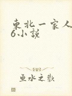 东北一家人1一6小说