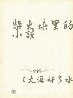 柴火垛里的疯狂小说