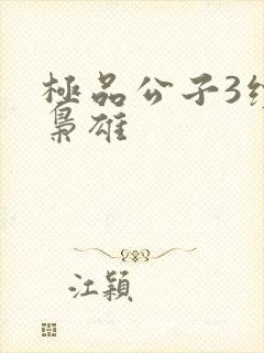 极品公子3续世枭雄