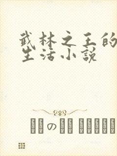 武林之王的退隐生活小说