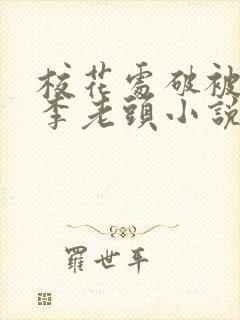 校花处破被灌满李老头小说