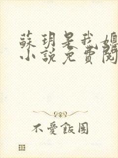 苏玥是我媳妇的小说免费阅读全文