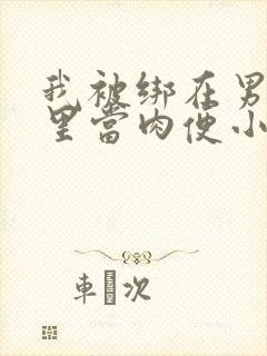 我被绑在男公厕里当肉便小说