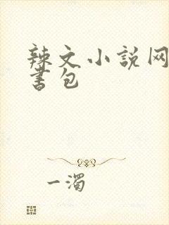 辣文小说网第二书包