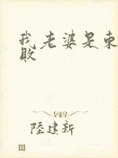 我老婆是东方不败