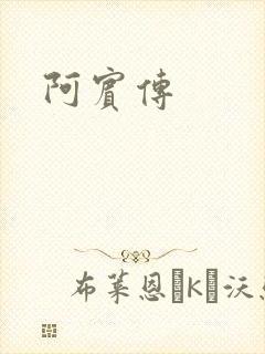 阿宾传