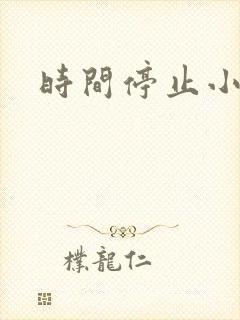 时间停止小说