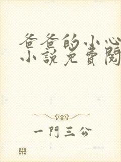 爸爸的小心肝儿小说免费阅读