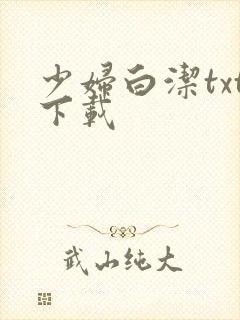 少妇白洁txt下载