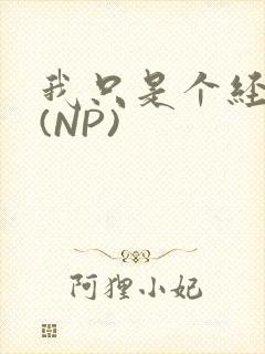 我只是个经纪人(NP)