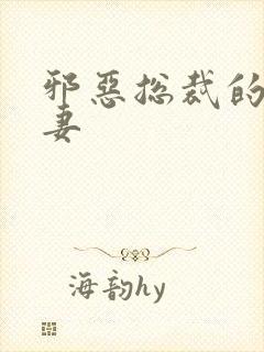 邪恶总裁的娇宠妻