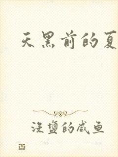 天黑前的夏天