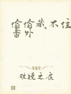 偷偷藏不住新婚番外