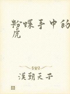 粉蝶手中的纸老虎