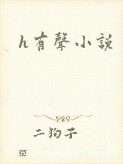 h有声小说
