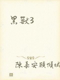 黑兽3