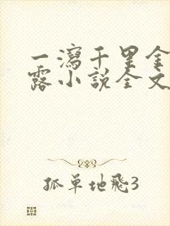 一泻千里金银花露小说全文免费阅读