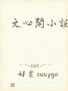 文心阁小说