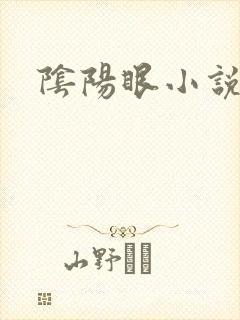 阴阳眼小说
