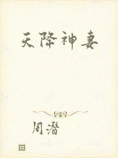 天降神妻