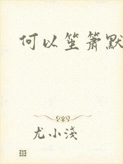何以笙箫默小说