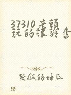 37310老头玩的很兴奋