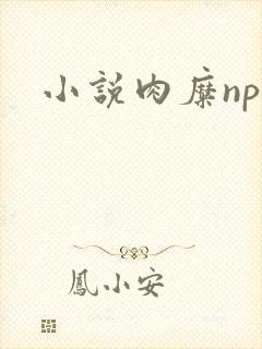 小说肉糜np